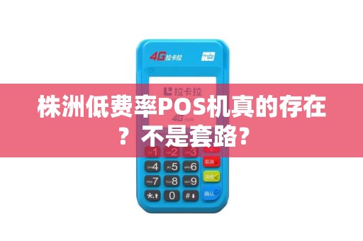 株洲低费率POS机真的存在？不是套路？