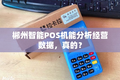 郴州智能POS机能分析经营数据，真的？