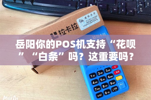 岳阳你的POS机支持“花呗”“白条”吗？这重要吗？