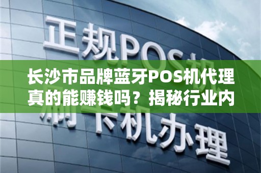 长沙市品牌蓝牙POS机代理真的能赚钱吗？揭秘行业内幕与避坑指南！