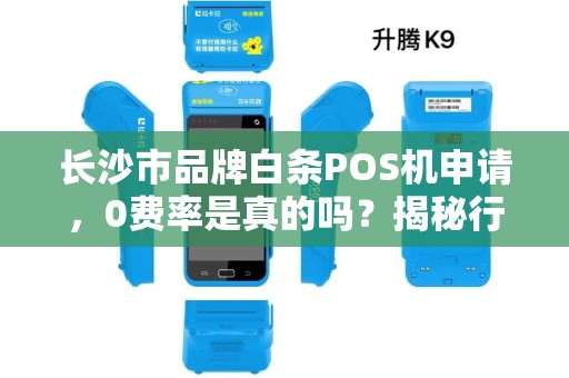 长沙市品牌白条POS机申请，0费率是真的吗？揭秘行业内幕！