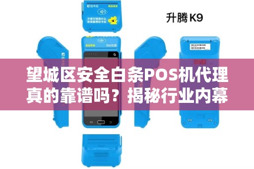 望城区安全白条POS机代理真的靠谱吗？揭秘行业内幕与避坑指南！