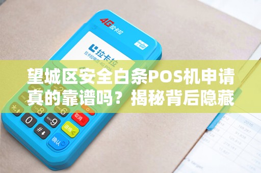 望城区安全白条POS机申请真的靠谱吗？揭秘背后隐藏的5大风险！