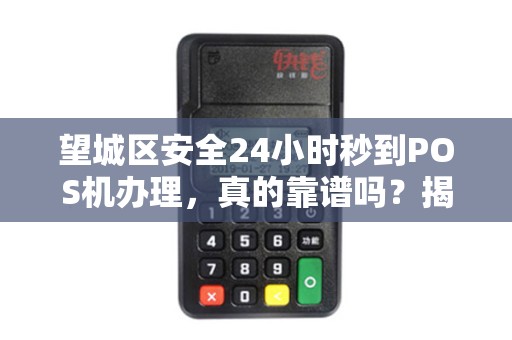 望城区安全24小时秒到POS机办理，真的靠谱吗？揭秘背后的真相！