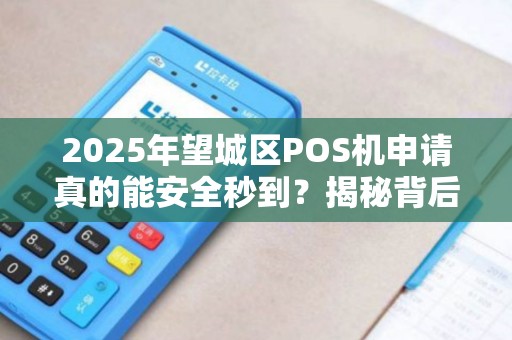 2025年望城区POS机申请真的能安全秒到？揭秘背后隐藏的3大风险！