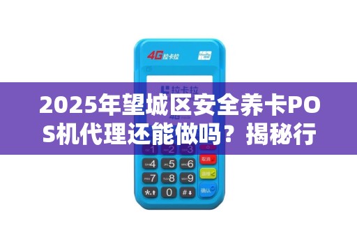 2025年望城区安全养卡POS机代理还能做吗？揭秘行业现状与未来趋势！