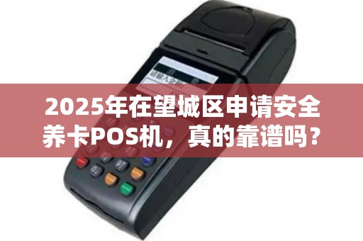 2025年在望城区申请安全养卡POS机，真的靠谱吗？揭秘背后隐藏的风险与机遇！