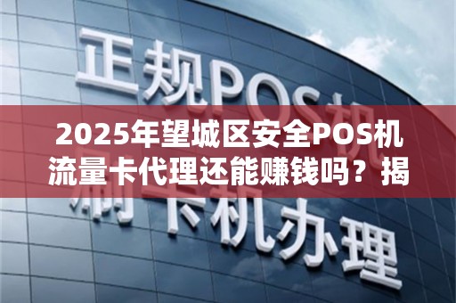2025年望城区安全POS机流量卡代理还能赚钱吗？揭秘行业现状与未来趋势！