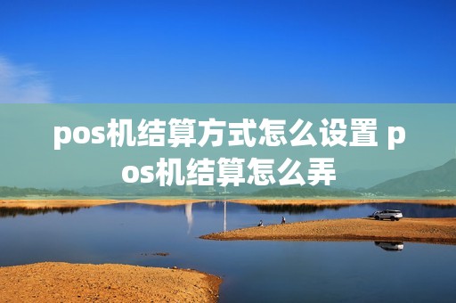 pos机结算方式怎么设置 pos机结算怎么弄