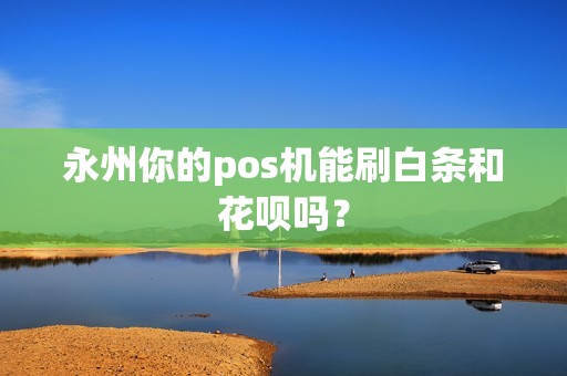永州你的pos机能刷白条和花呗吗？
