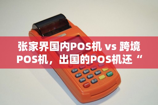 张家界国内POS机 vs 跨境POS机，出国的POS机还“灵”吗？