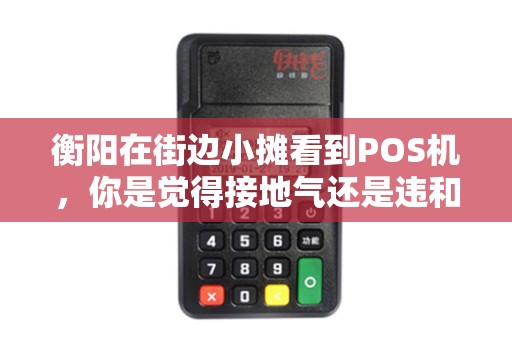 衡阳在街边小摊看到POS机，你是觉得接地气还是违和感？