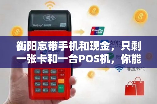 衡阳忘带手机和现金，只剩一张卡和一台POS机，你能活下去吗？