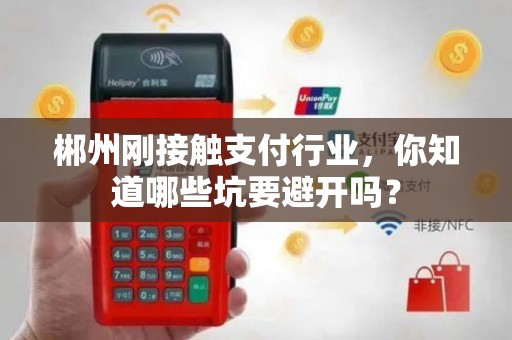 郴州刚接触支付行业，你知道哪些坑要避开吗？