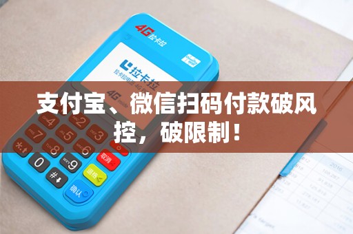支付宝、微信扫码付款破风控，破限制！