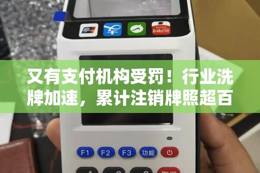 又有支付机构受罚！行业洗牌加速，累计注销牌照超百张！