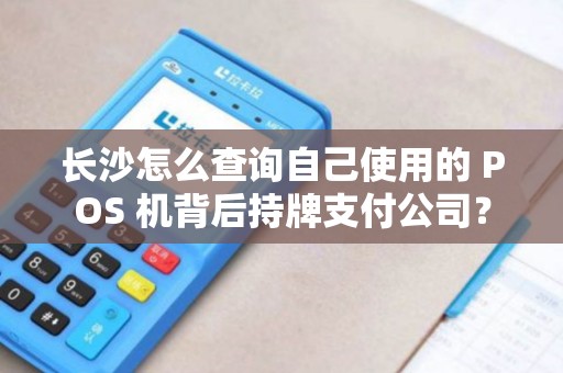 长沙怎么查询自己使用的 POS 机背后持牌支付公司?