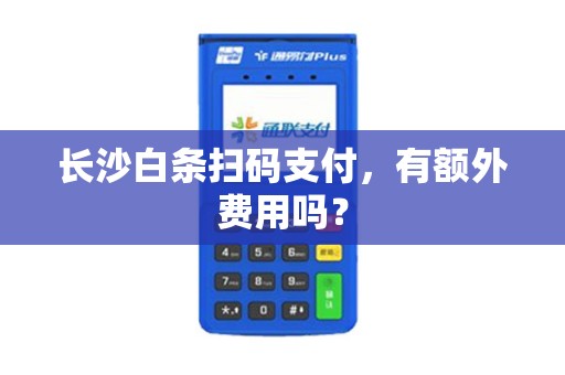 长沙白条扫码支付，有额外费用吗？
