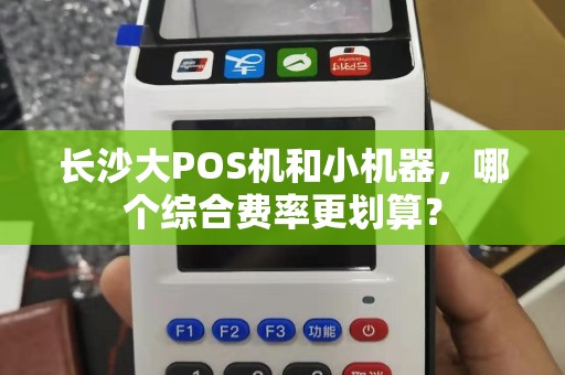 长沙大POS机和小机器，哪个综合费率更划算？