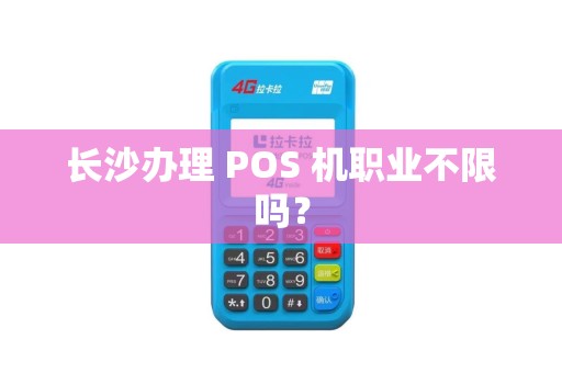 长沙办理 POS 机职业不限吗？