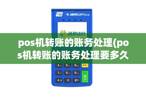 pos机转账的账务处理(pos机转账的账务处理要多久)