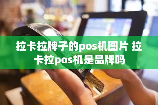 拉卡拉牌子的pos机图片 拉卡拉pos机是品牌吗