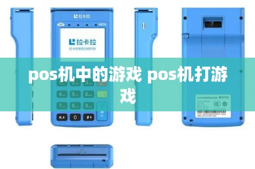 pos机中的游戏 pos机打游戏