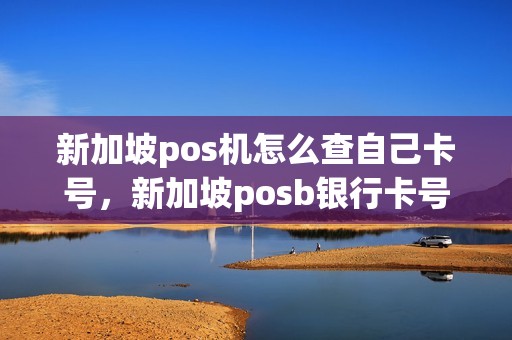 新加坡pos机怎么查自己卡号，新加坡posb银行卡号码怎么看