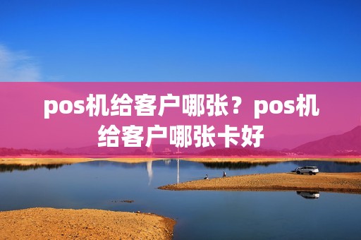 pos机给客户哪张？pos机给客户哪张卡好