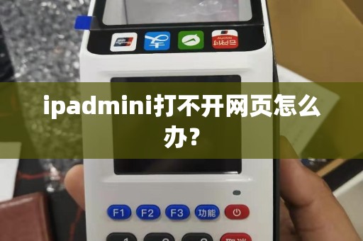 ipadmini打不开网页怎么办？