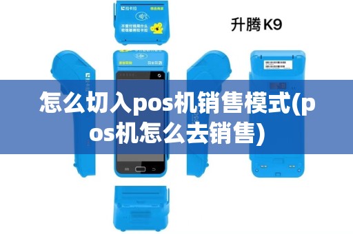 怎么切入pos机销售模式(pos机怎么去销售)