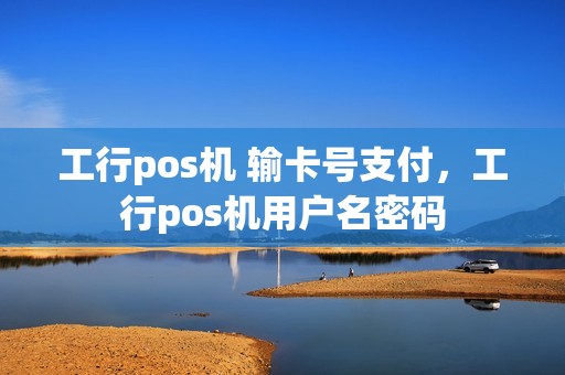 工行pos机 输卡号支付，工行pos机用户名密码