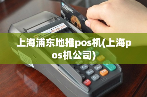 上海浦东地推pos机(上海pos机公司)