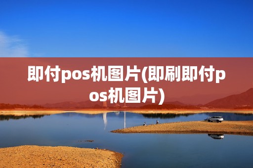 即付pos机图片(即刷即付pos机图片)
