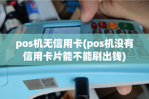 pos机无信用卡(pos机没有信用卡片能不能刷出钱)