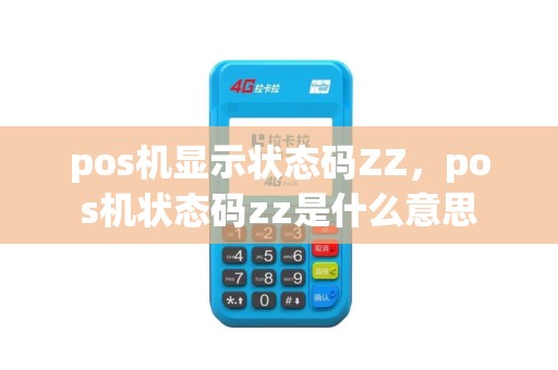 pos机显示状态码ZZ，pos机状态码zz是什么意思