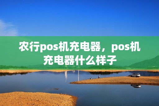农行pos机充电器，pos机充电器什么样子