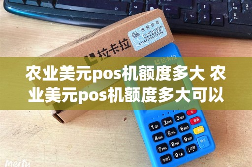 农业美元pos机额度多大 农业美元pos机额度多大可以用