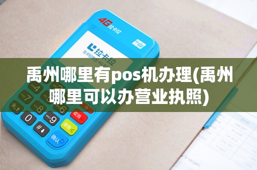 禹州哪里有pos机办理(禹州哪里可以办营业执照)