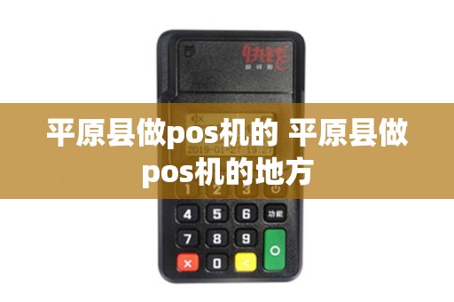 平原县做pos机的 平原县做pos机的地方