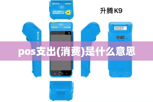 pos支出(消费)是什么意思