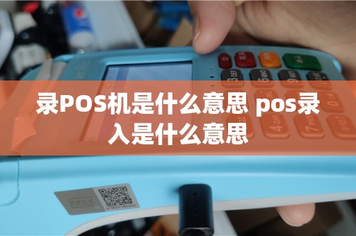 录POS机是什么意思 pos录入是什么意思