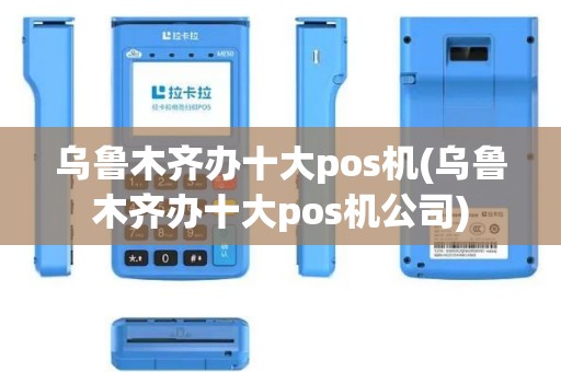 乌鲁木齐办十大pos机(乌鲁木齐办十大pos机公司)