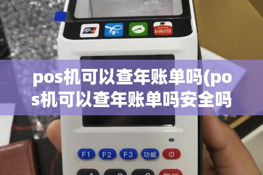 pos机可以查年账单吗(pos机可以查年账单吗安全吗)