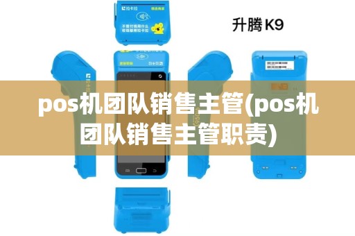 pos机团队销售主管(pos机团队销售主管职责)