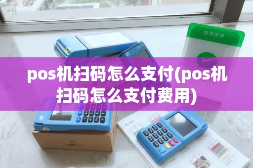 pos机扫码怎么支付(pos机扫码怎么支付费用)
