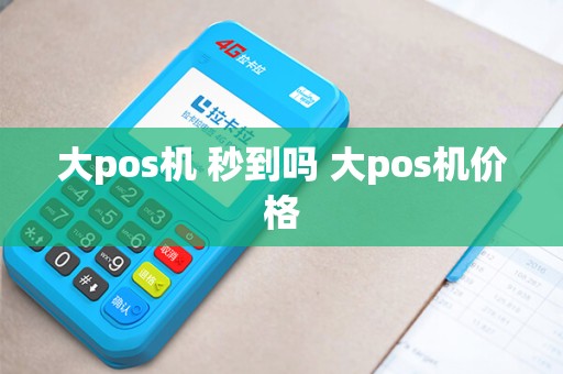 大pos机 秒到吗 大pos机价格