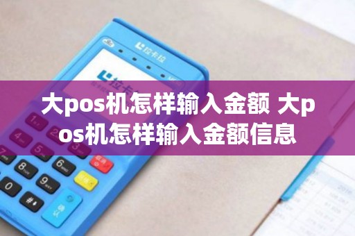 大pos机怎样输入金额 大pos机怎样输入金额信息