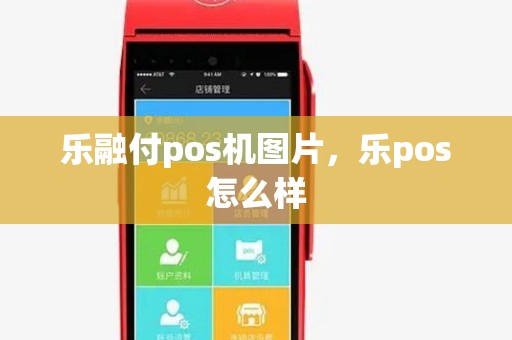 乐融付pos机图片，乐pos怎么样