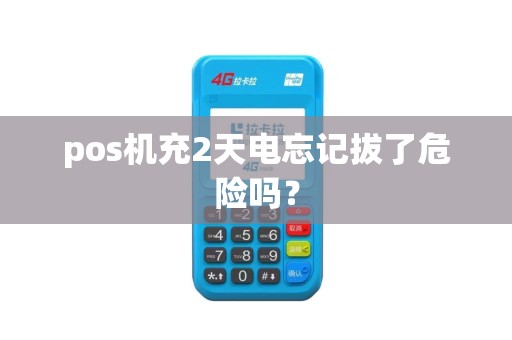 pos机充2天电忘记拔了危险吗？
